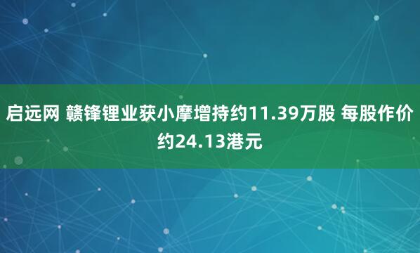 启远网 赣锋锂业获小摩增持约11.39万股 每股作价约24.13港元