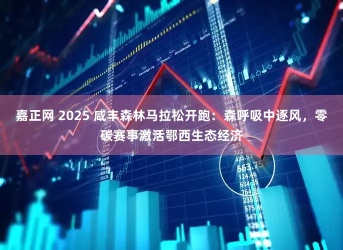 嘉正网 2025 咸丰森林马拉松开跑：森呼吸中逐风，零碳赛事激活鄂西生态经济