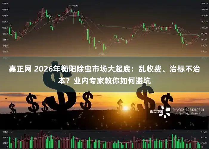 嘉正网 2026年衡阳除虫市场大起底：乱收费、治标不治本？业内专家教你如何避坑